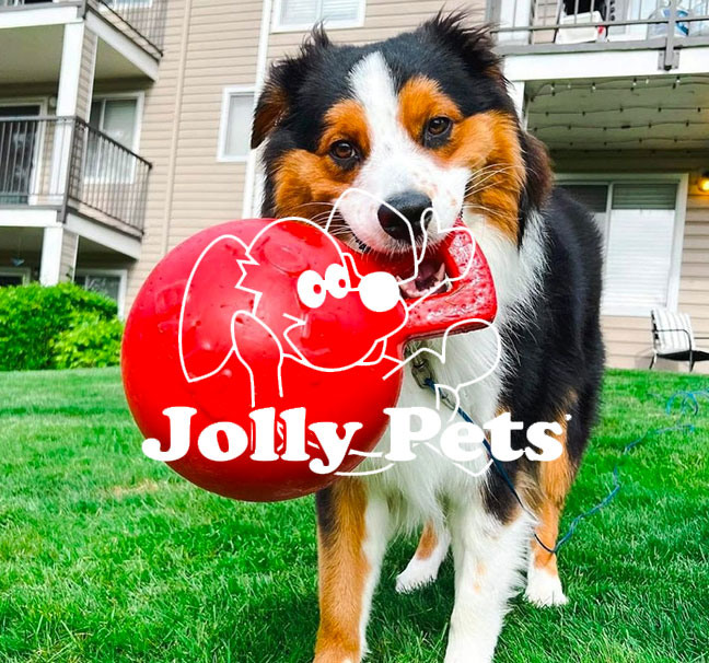 Jolly Pets